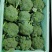 山东西蓝花，绿翡翠西蓝花，大量有货承接各大商超，市场等平台