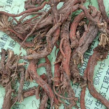 丹参天然无硫丹参段规格齐全诚信经营欢迎下单