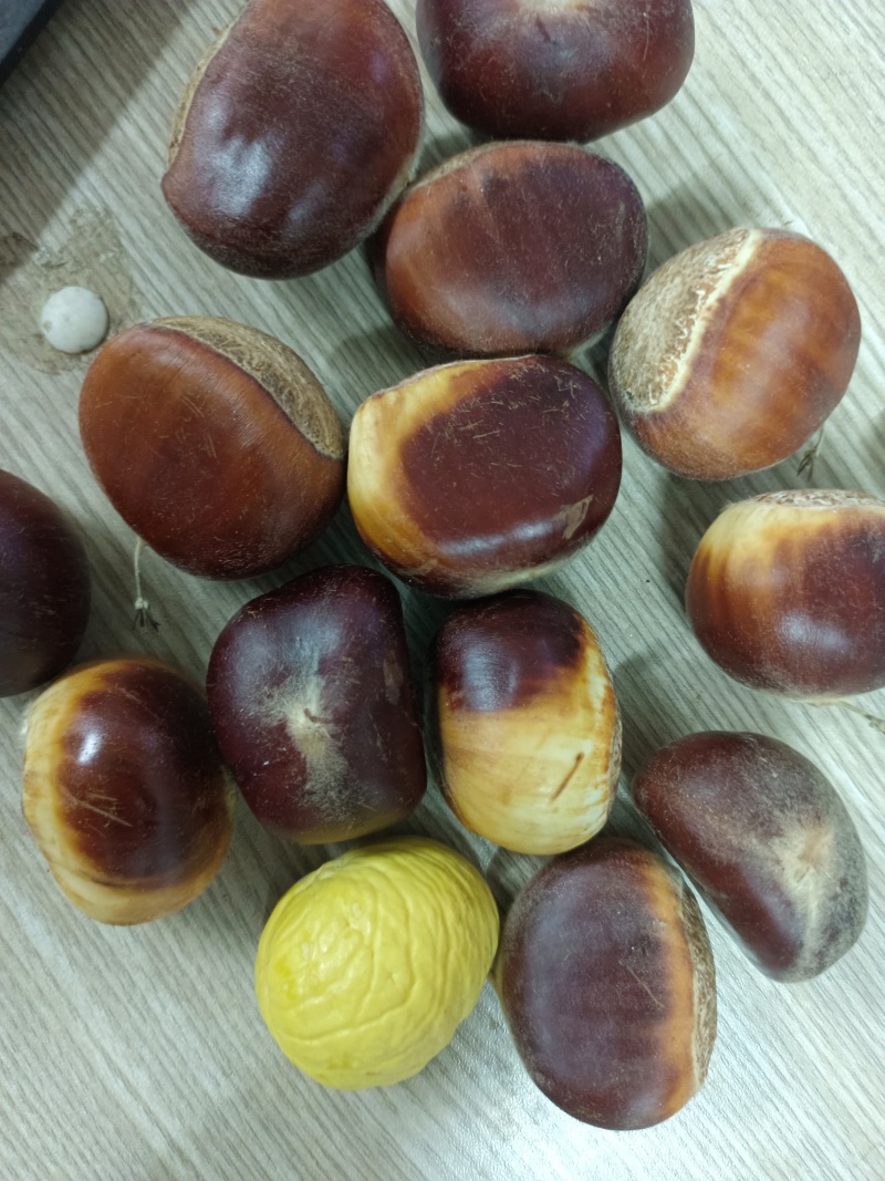 板栗菜栗种真空板栗，社区团购、电商供货，一件代发