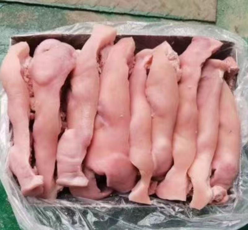 【肘子】白水拱嘴