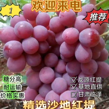 沙地红提大量一手货源，口感甜脆，耐运输
