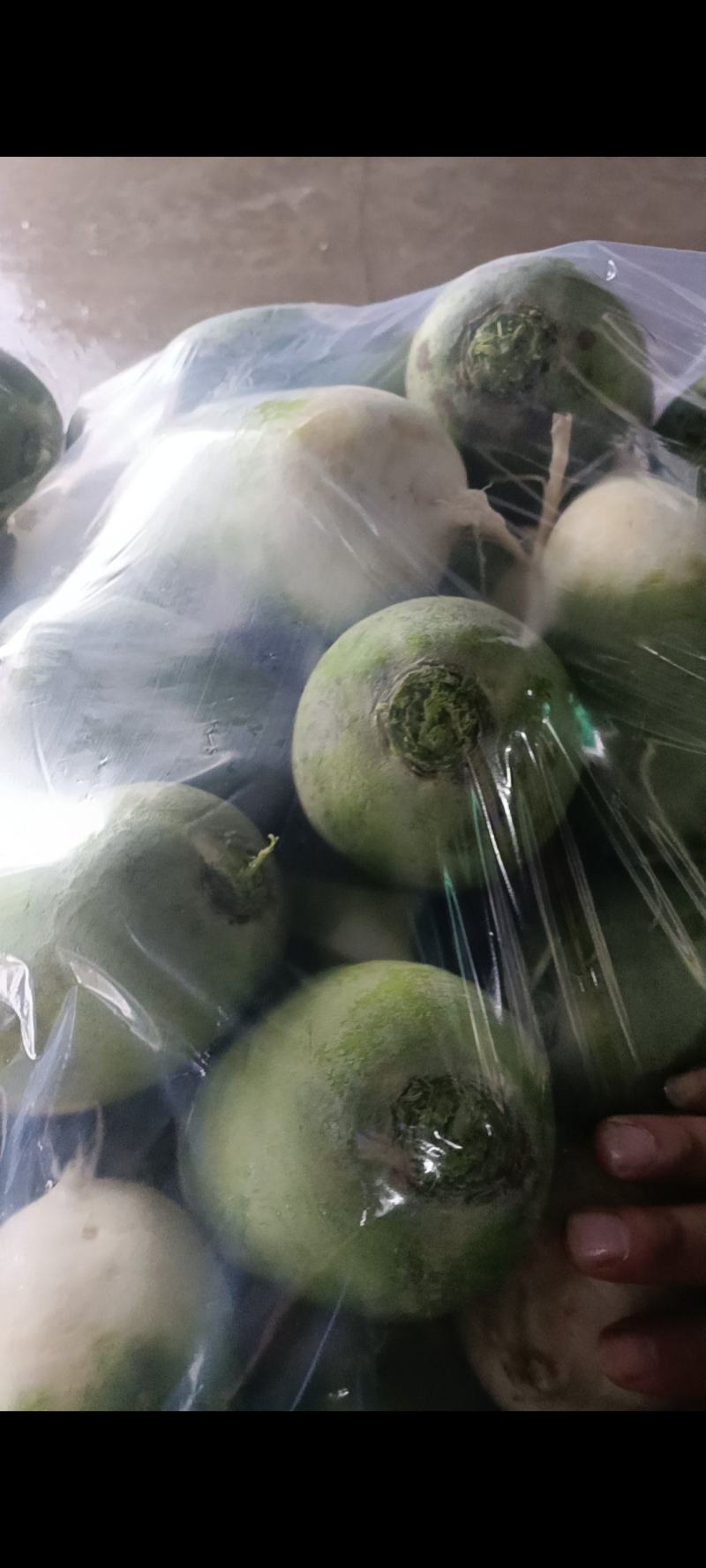 青萝卜，宝玉河南开封产地直发，货源充足，量大从优。