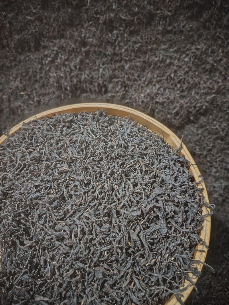 金牡丹，茶树苗，一手货源，基地直发，诚信经营，欢迎订购，