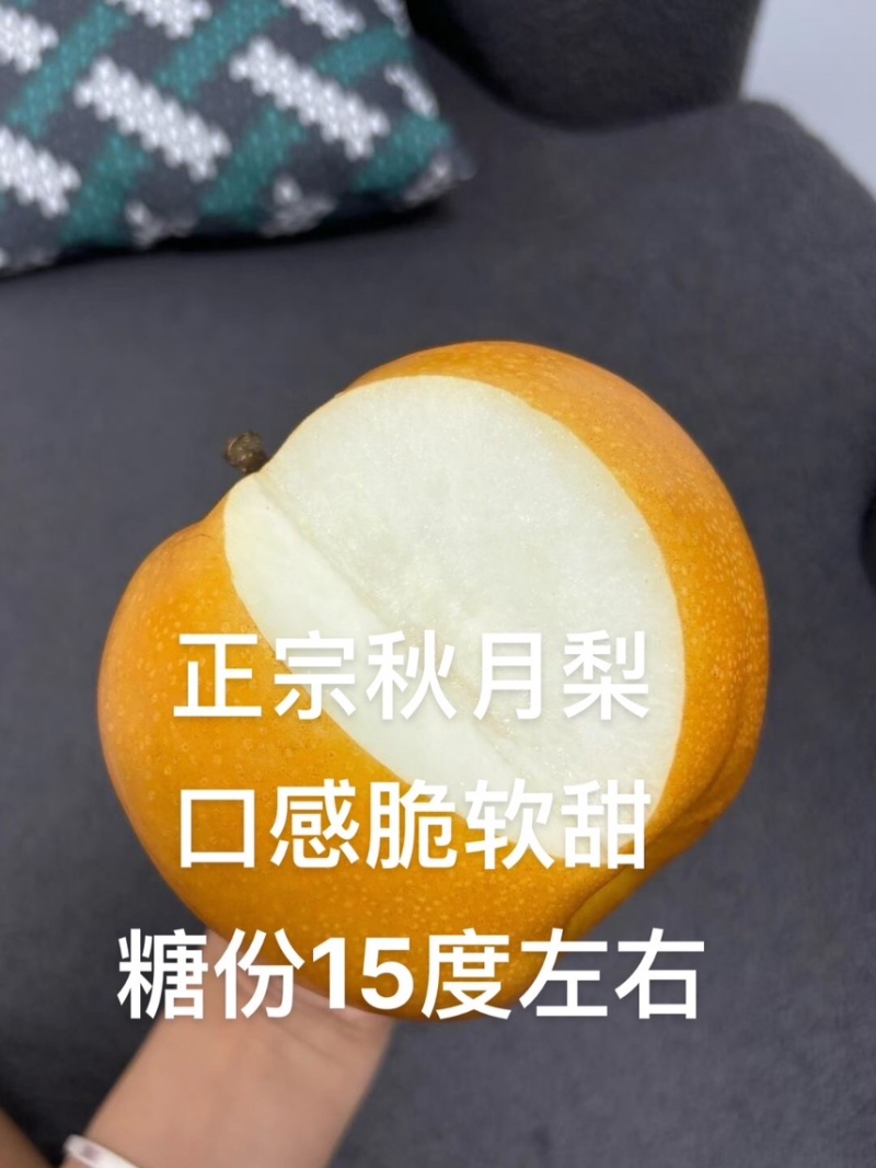 晚秋黄梨