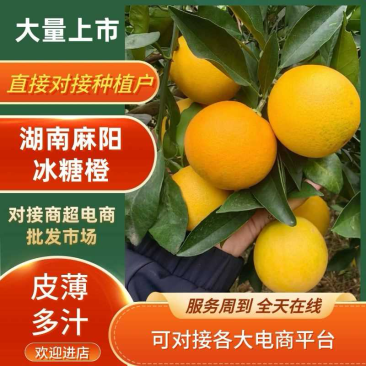 湖南麻阳冰糖橙大量现货，现摘现发，电商社区等