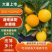 湖南麻阳冰糖橙大量现货，现摘现发，电商社区等