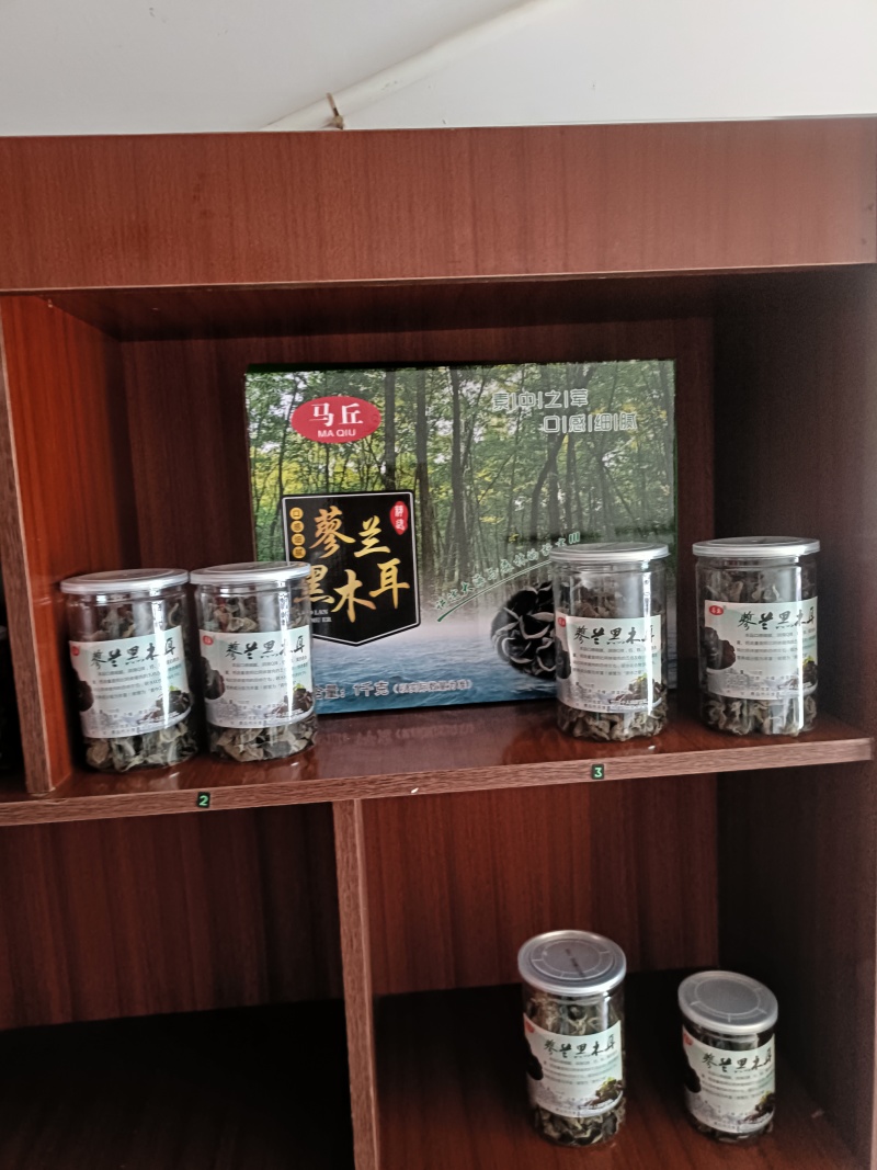 黑木耳