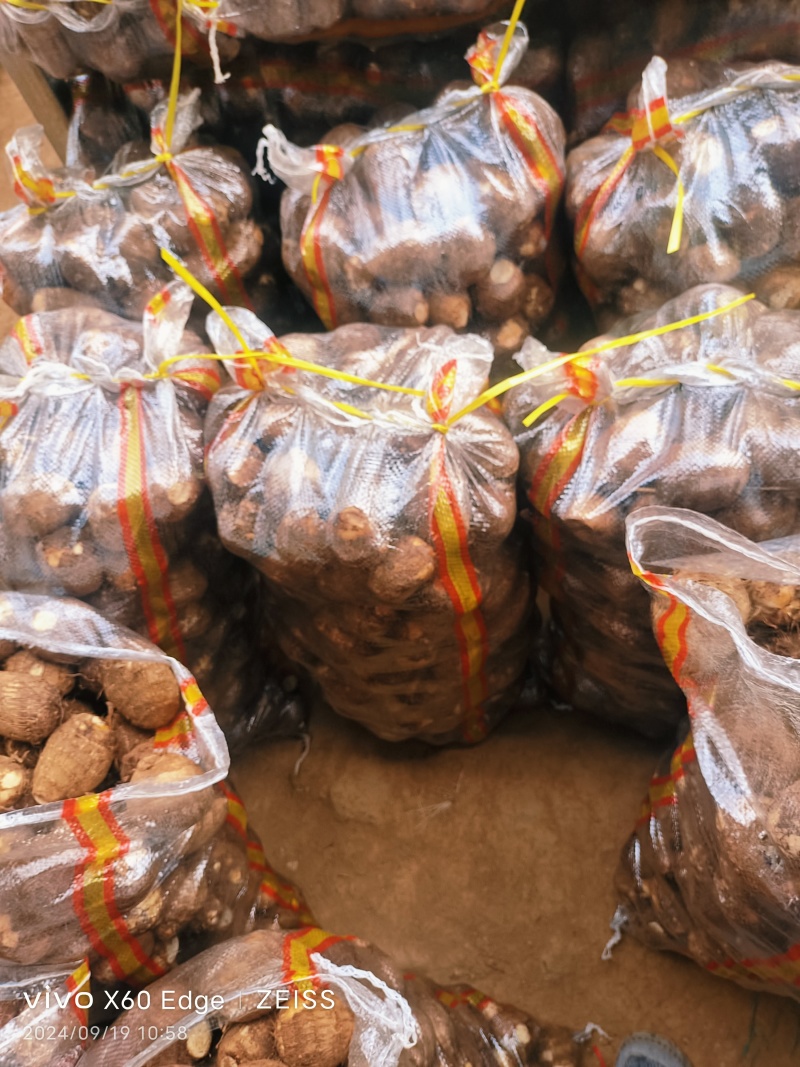 毛芋头种8520系列，现挖现装现发对接全国电商市场发货