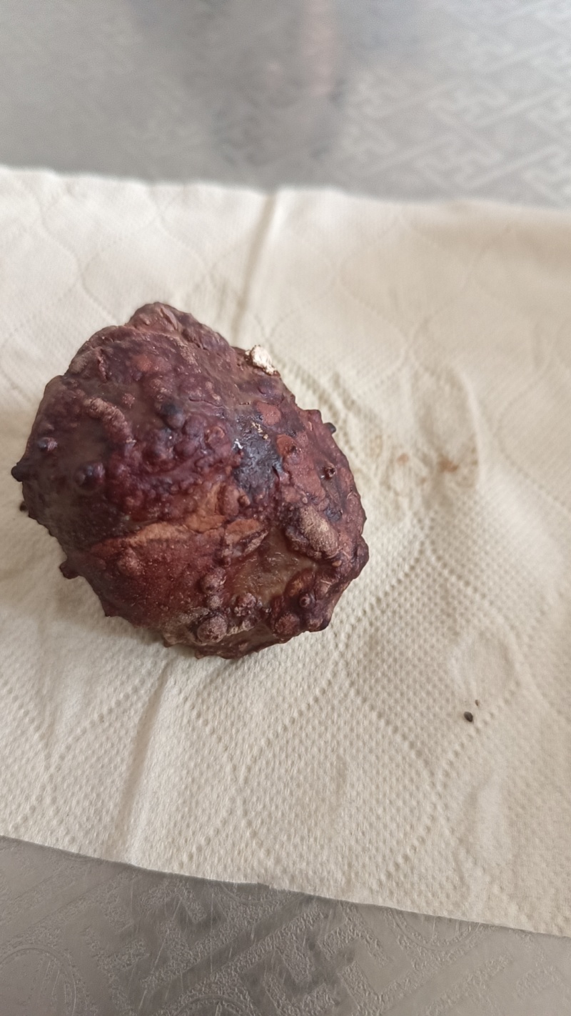 中秋节刚取出来的鸡宝需要的联系