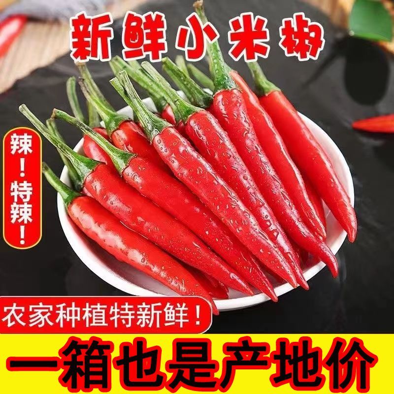 新鲜小米辣椒特辣红色辣椒特一级朝天椒红米辣椒指天椒鲜椒泡椒
