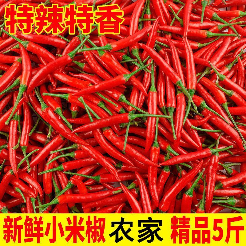 新鲜小米辣椒特辣红色辣椒特一级朝天椒红米辣椒指天椒鲜椒泡椒