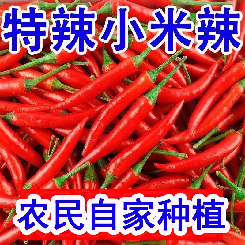 新鲜小米辣椒特辣红色辣椒特一级朝天椒红米辣椒指天椒鲜椒泡椒