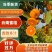 湖北特早蜜橘高原无籽蜜桔产地直发质量保证市场电商量大从优