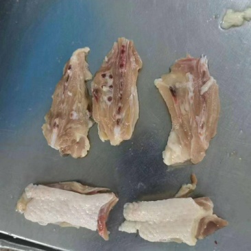 鸡背肉