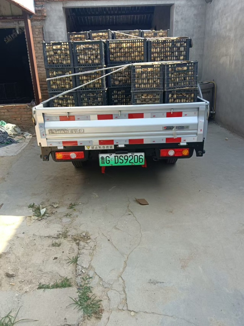 变蛋河南特产松花蛋溏心鸡蛋变蛋纯手工无铅工艺