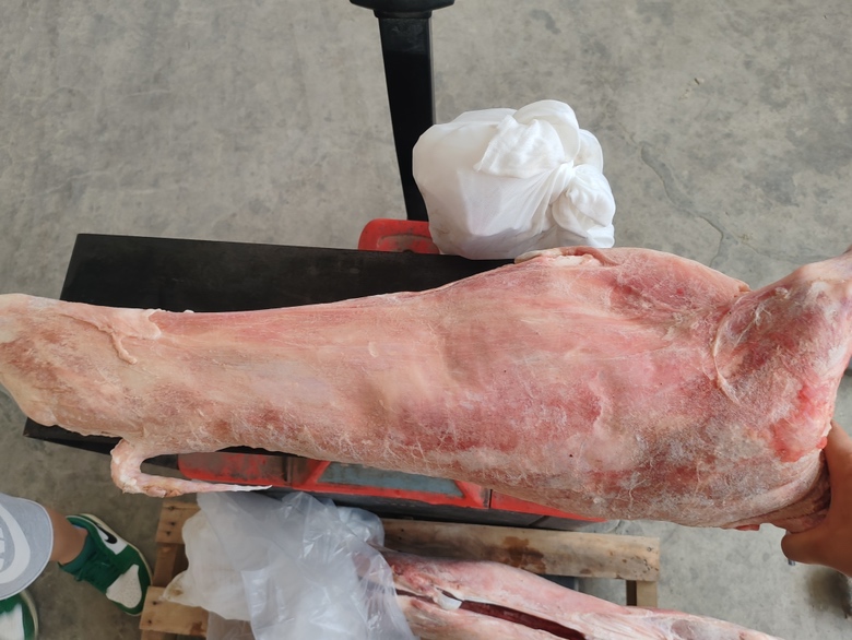 羊白条正面全景图