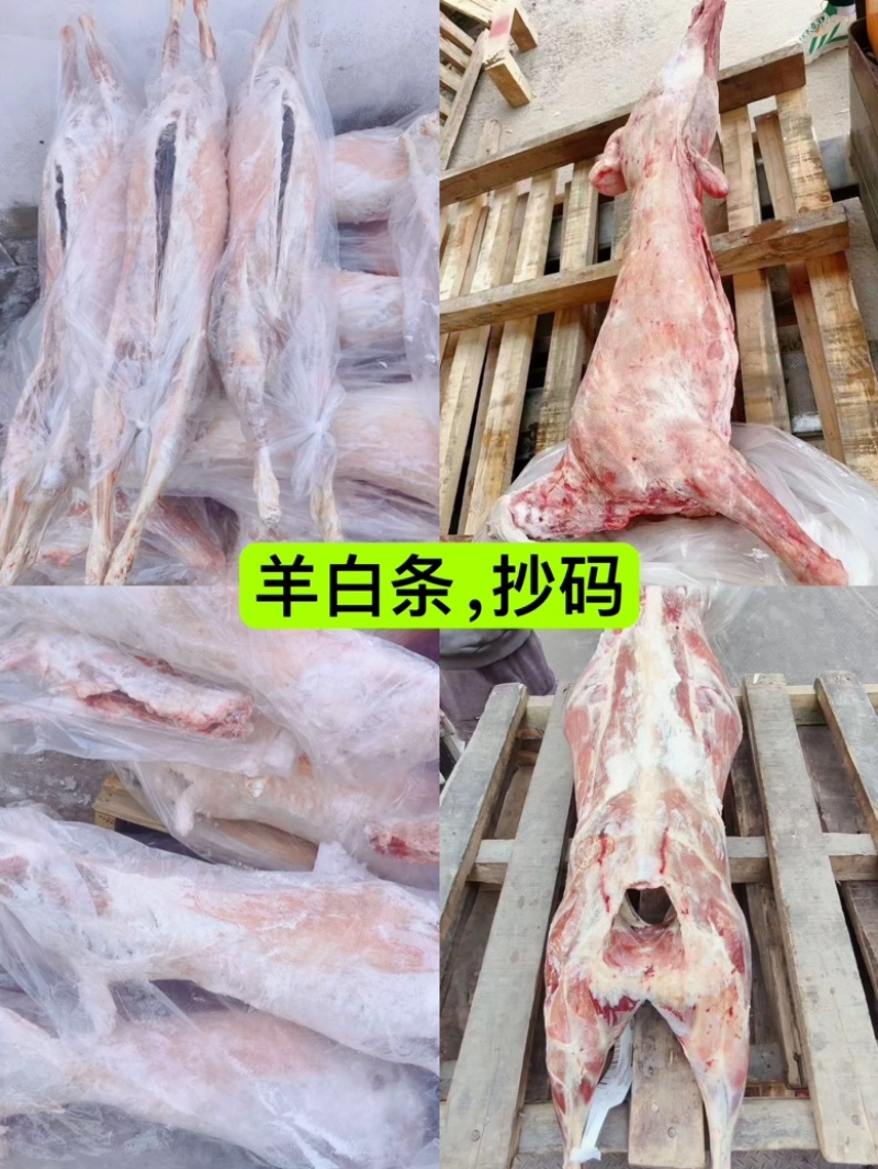 白条羊，羊腔子，现宰现杀速冻，颜色鲜亮，全国冷链发货！！