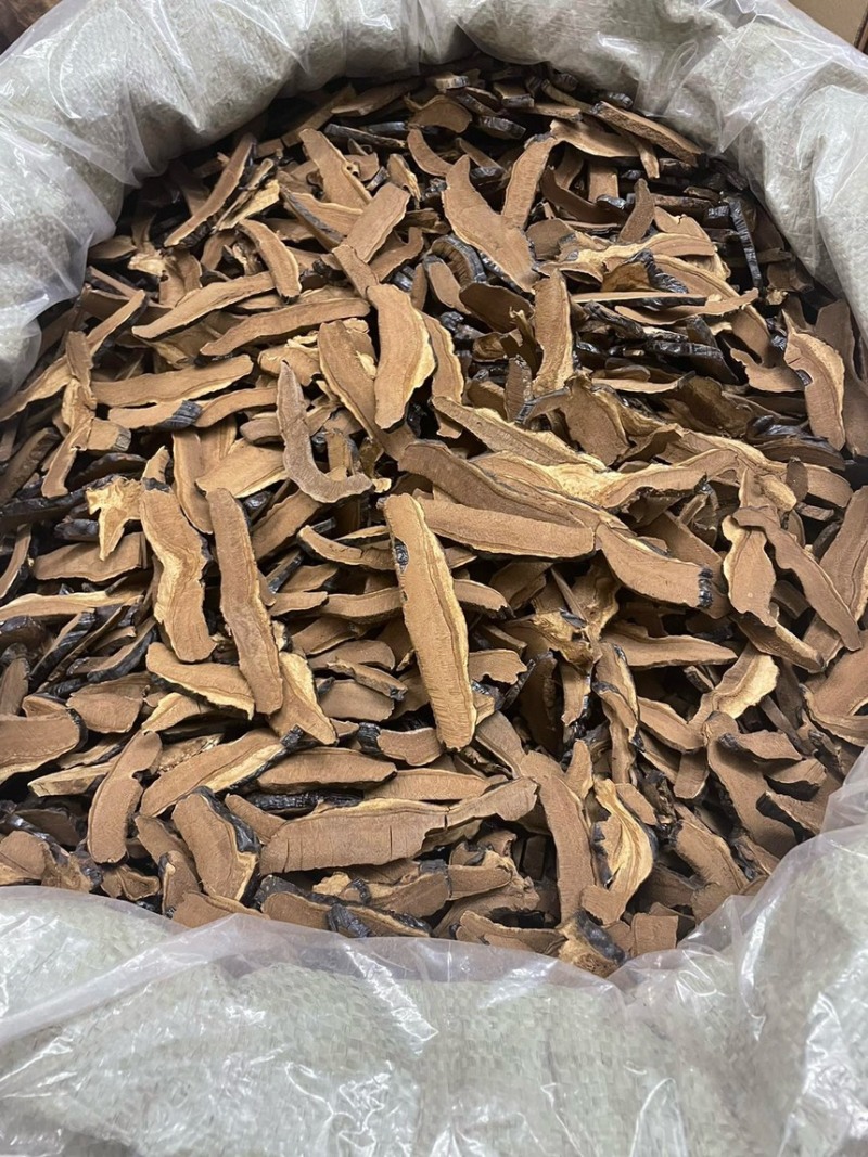 灵芝片全新上架
