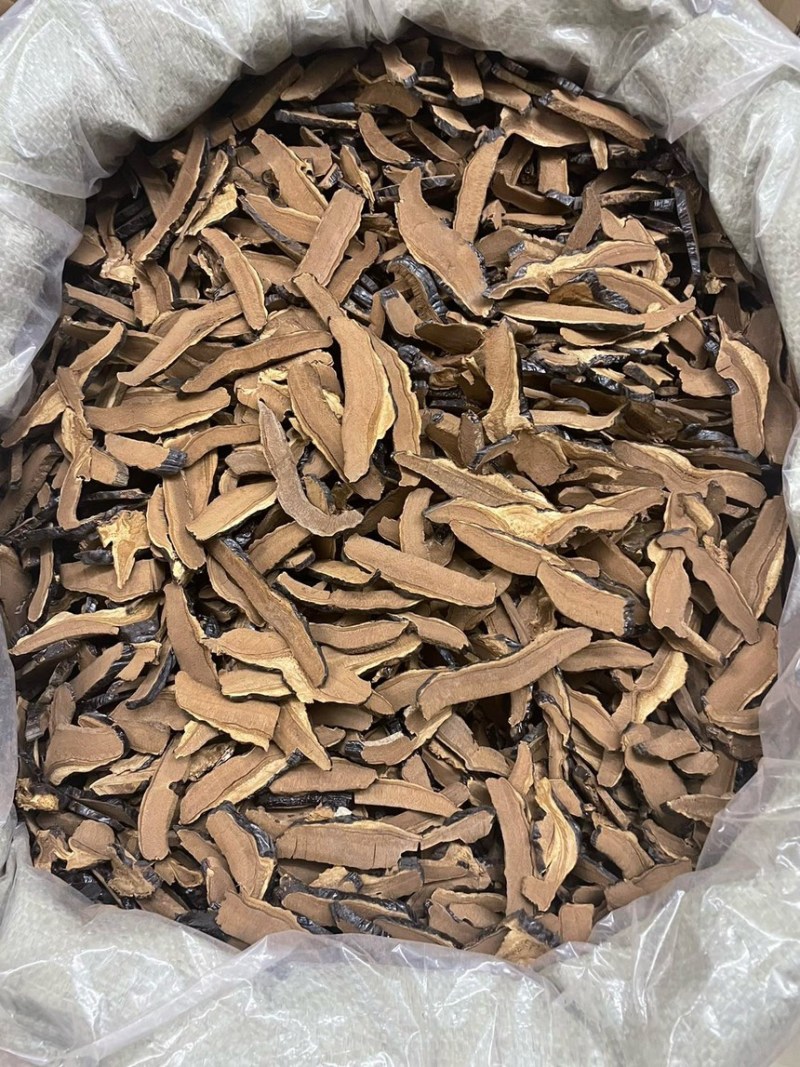 灵芝片全新上架
