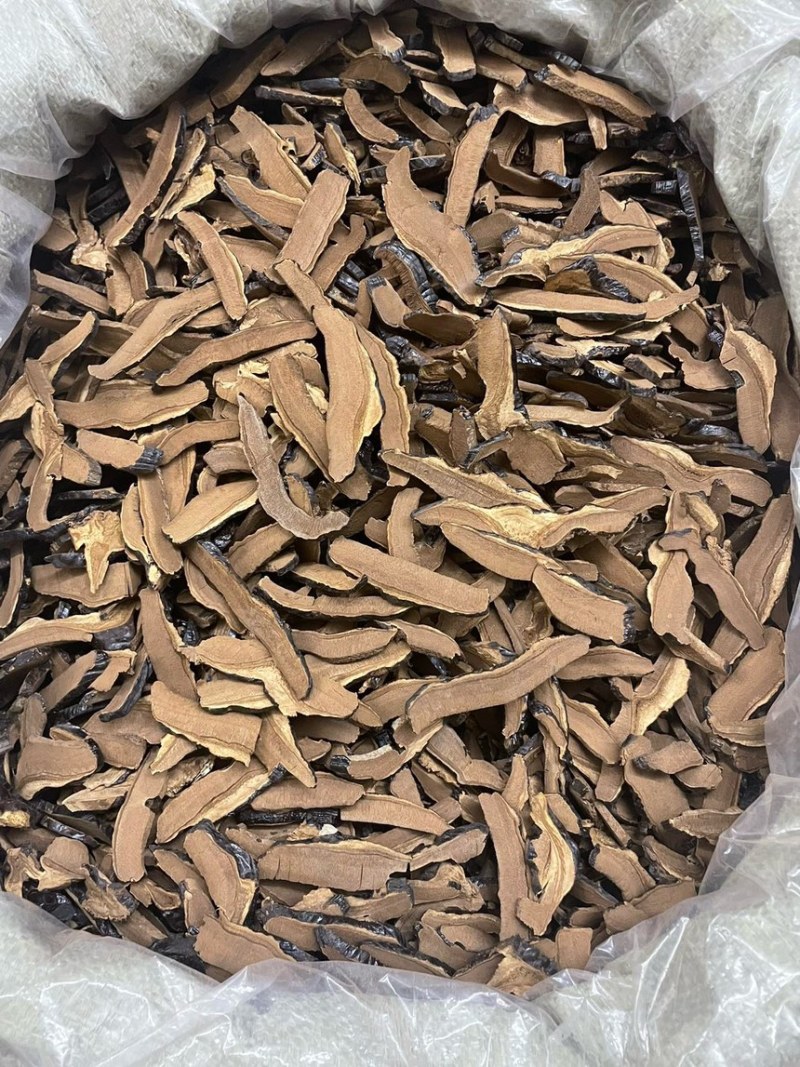 灵芝片全新上架