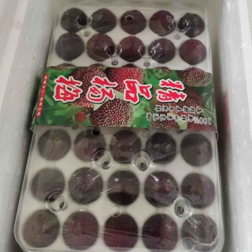 杨梅精品乌梅大量有货支持一件代发新鲜采摘包装精美欢迎采购