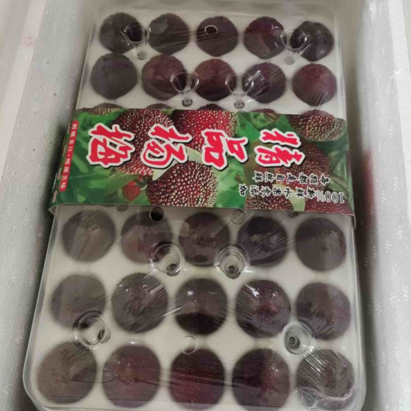 杨梅精品乌梅大量有货支持一件代发新鲜采摘包装精美欢迎采购