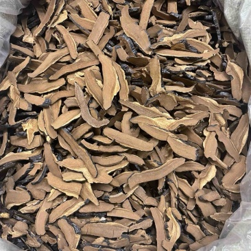 灵芝片全新上架