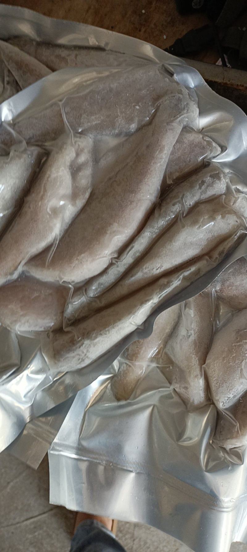 【实力推荐】鳘鱼对接全国可视频看货欢迎下单咨询