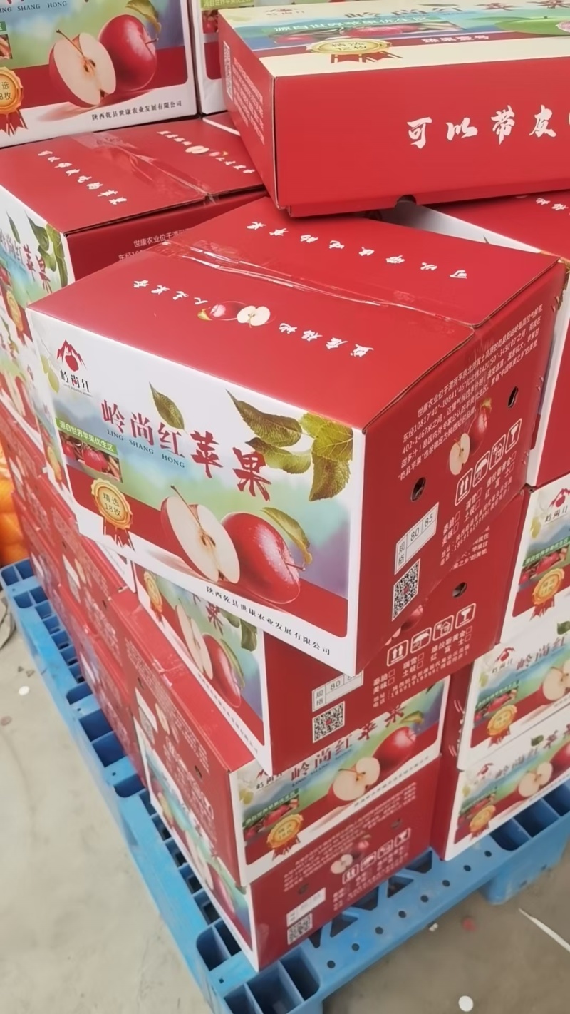 高原秦脆苹果，苹果中的天花板，千亩9月18日开园
