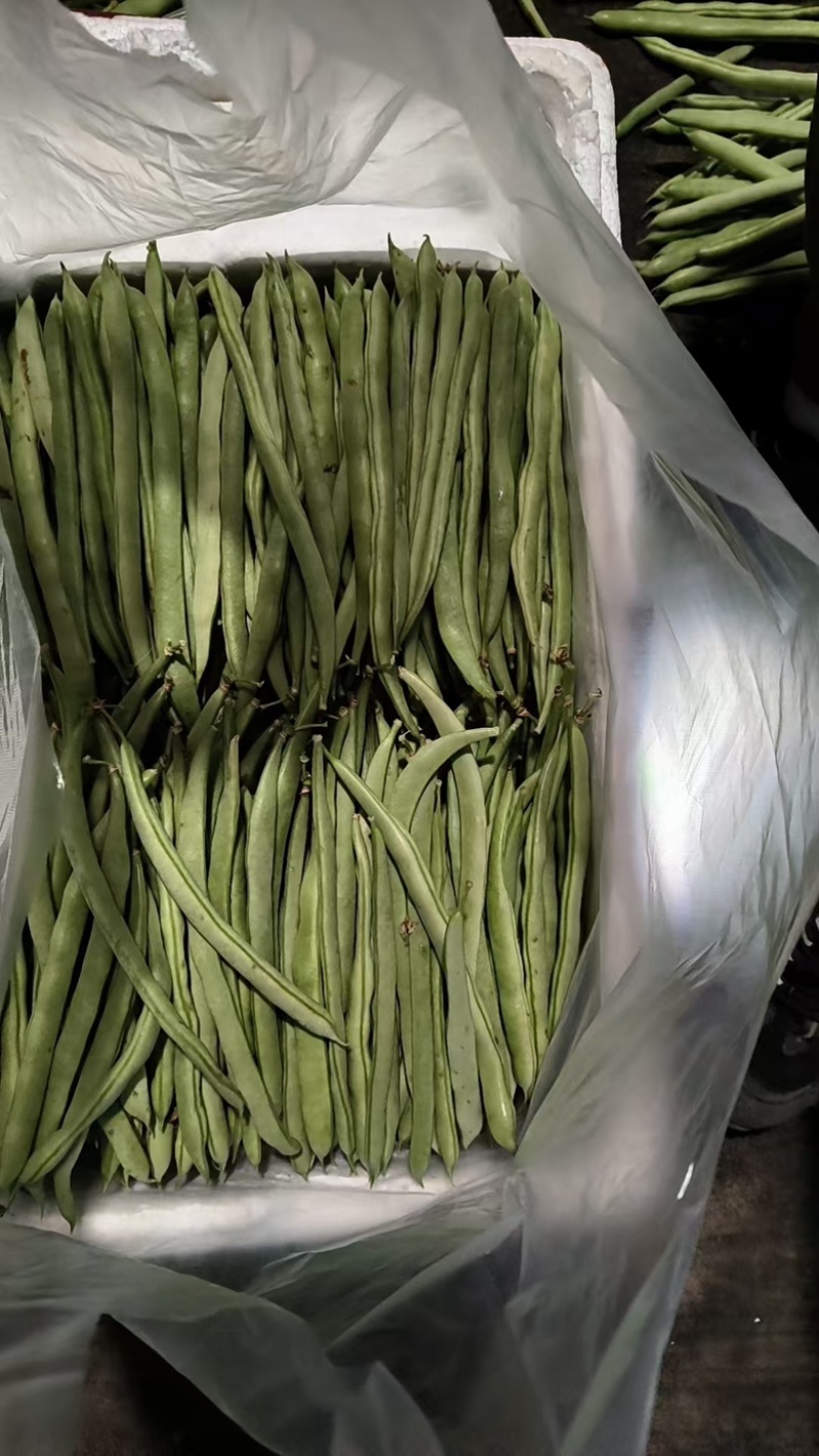 豇豆保质保量高品质低价格规格齐全欢迎咨询