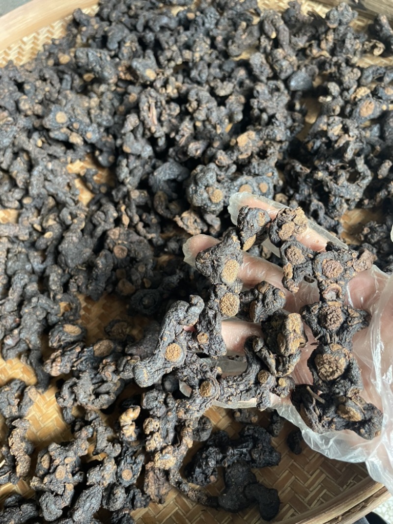 河源黄精多花野生九蒸九晒古法蒸制黄姜即食煲汤煮水中草药材