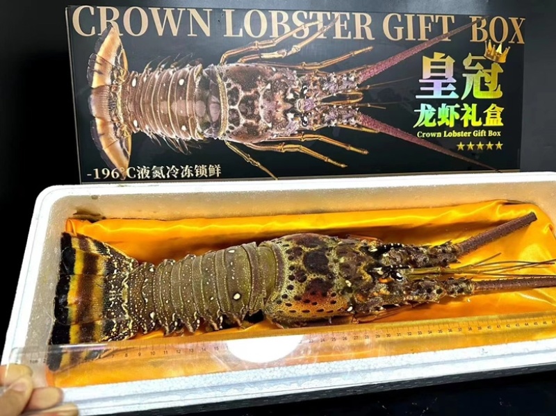 一只也包邮古巴龙虾，黑金版礼盒装顺丰包邮到家，可代送礼