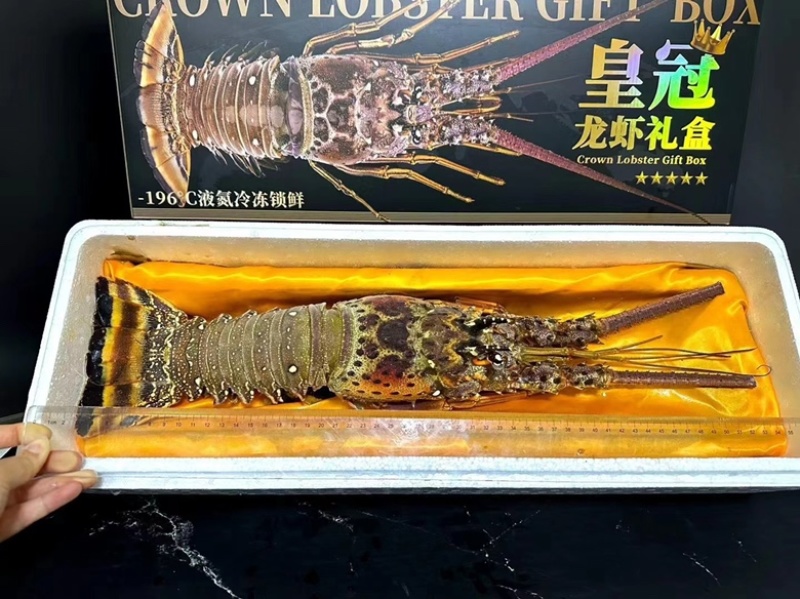 一只也包邮古巴龙虾，黑金版礼盒装顺丰包邮到家，可代送礼
