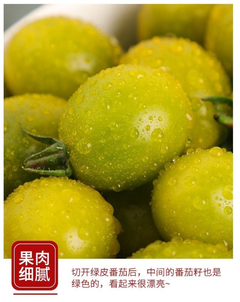 新鲜青口蜜圣女果小番茄现摘现发酸甜孕妇水
