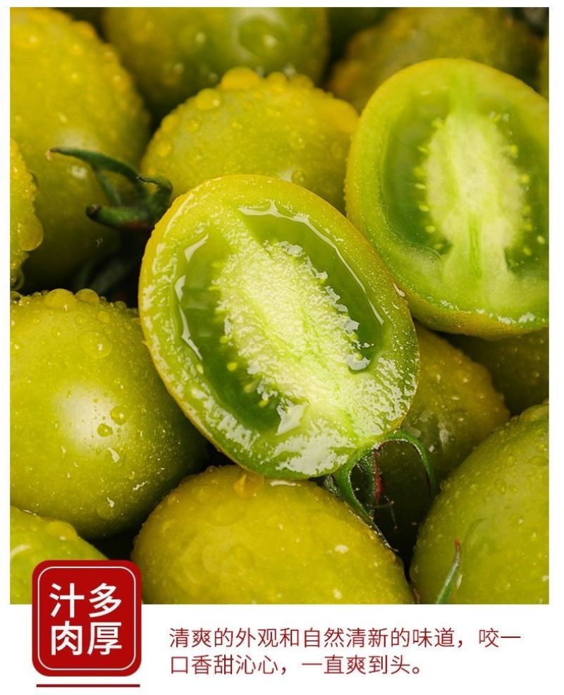 新鲜青口蜜圣女果小番茄现摘现发酸甜孕妇水
