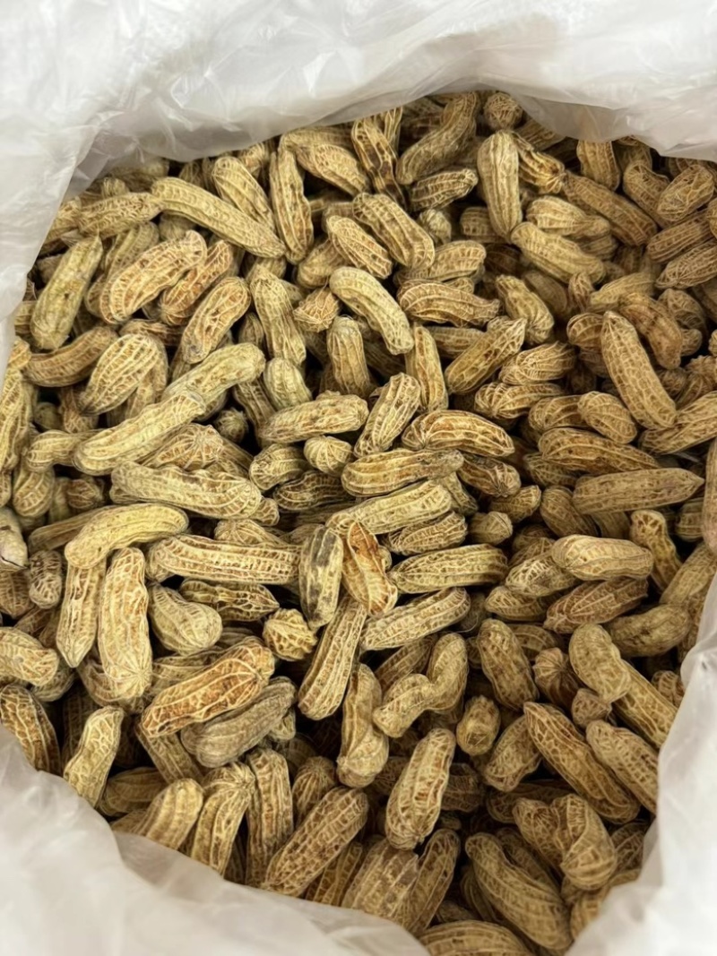 咸干七彩花生产地直销大货批发七彩花生煮熟