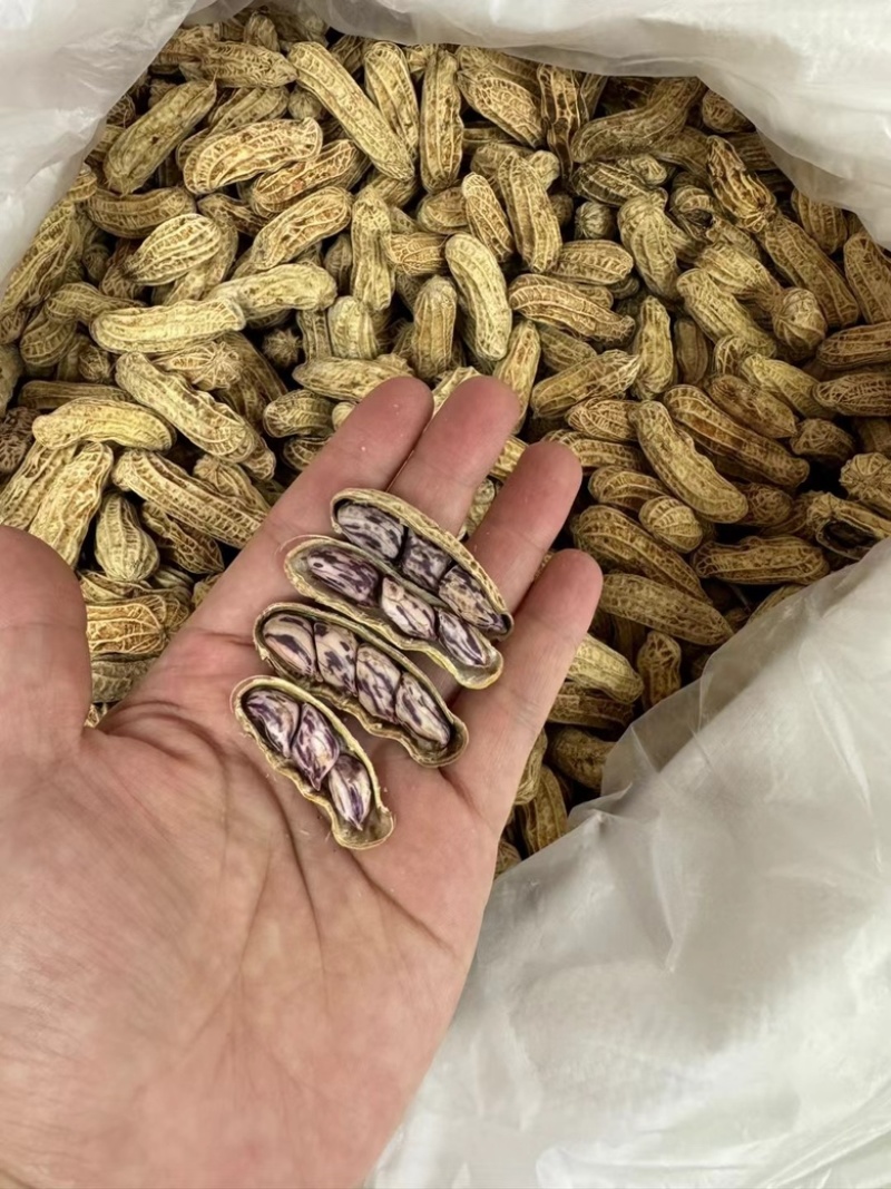 咸干七彩花生产地直销大货批发七彩花生煮熟