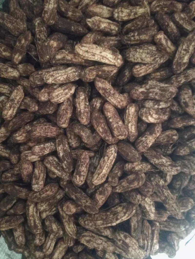 咸干七彩花生产地直销大货批发七彩花生煮熟