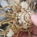 全网低价白芨供应规格多样随时咨询