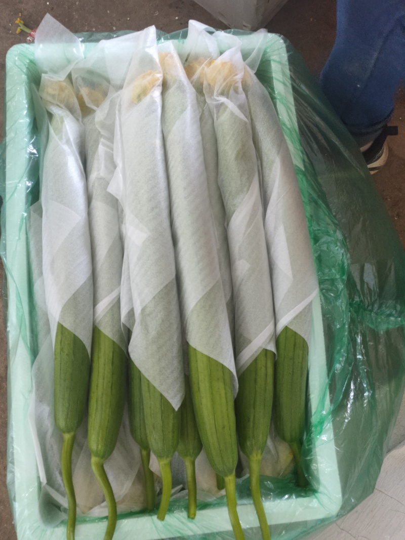 鲜花丝瓜/全国发货，可供商超，市场，平台