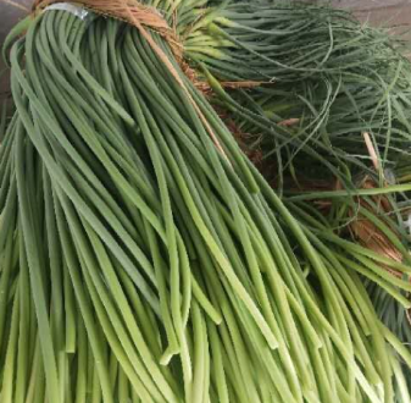 【推荐】蒜薹/白帽蒜薹/基地直发/欢迎咨询50-60cm