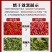 烧颗粒烘干机大型烘干机商用辣椒烘干机设备三相电烘干机