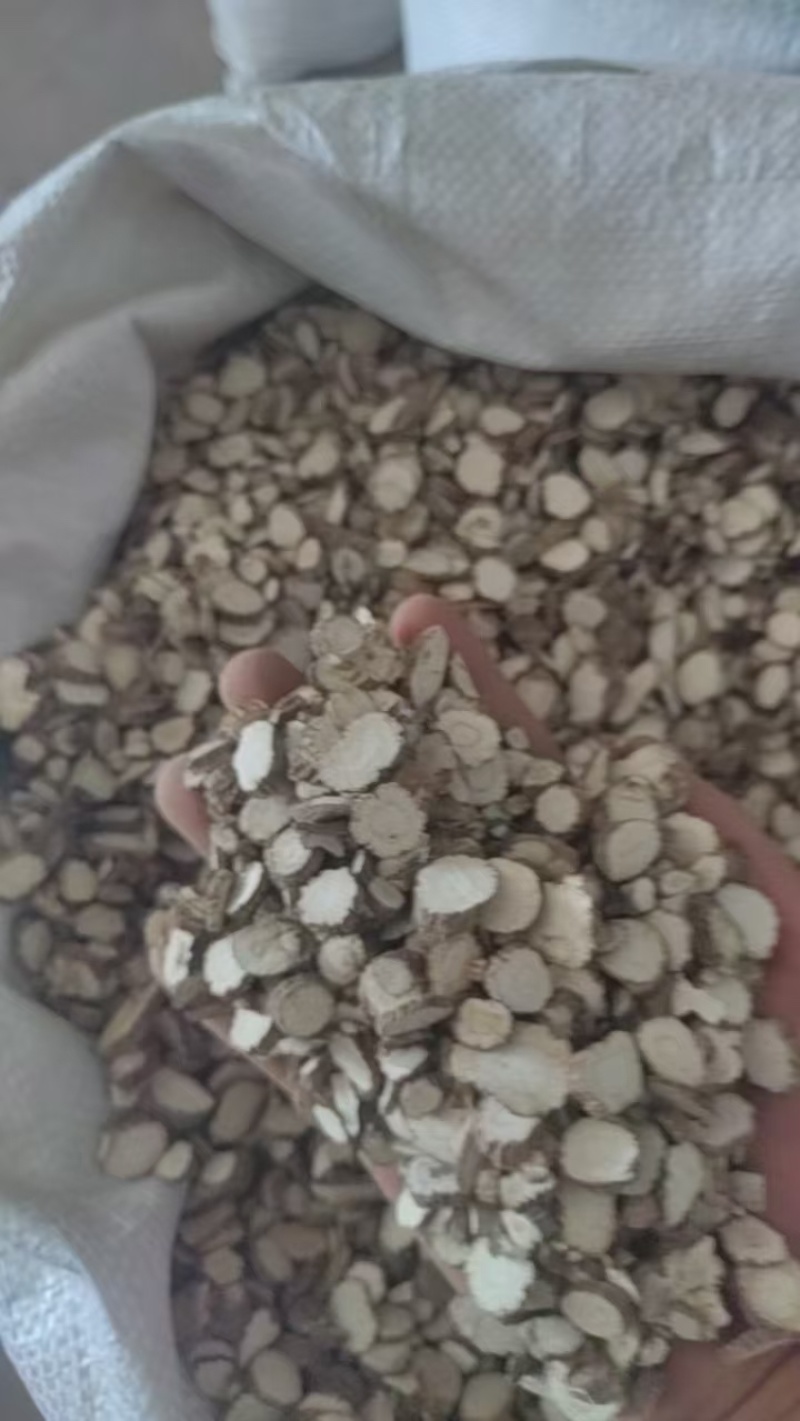 大量出售干白芷基地直发鲜白芷大量出售货源充足欢迎咨询