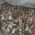 大量出售干白芷基地直发鲜白芷大量出售货源充足欢迎咨询