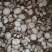 大量出售干白芷基地直发鲜白芷大量出售货源充足欢迎咨询