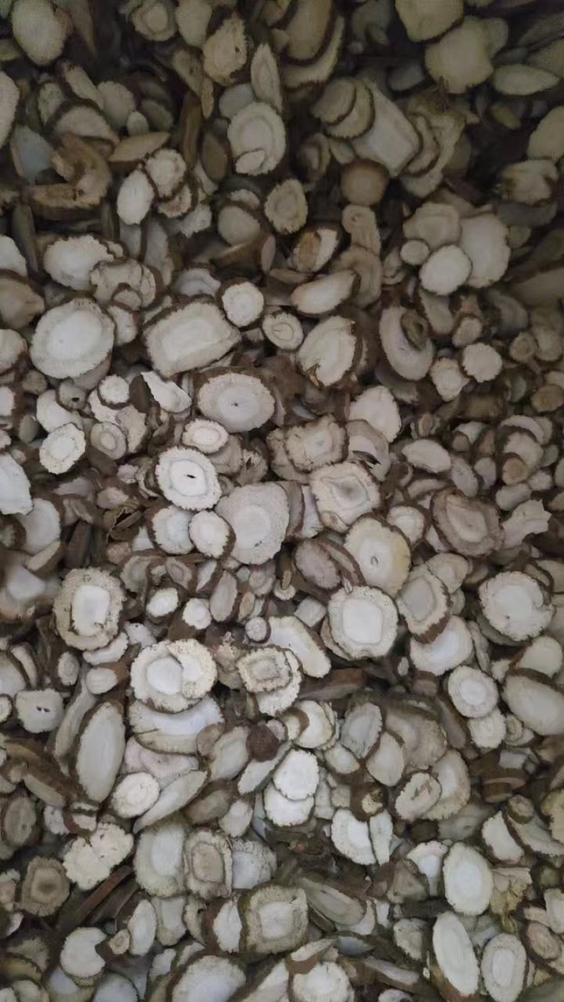 大量出售干白芷基地直发鲜白芷大量出售货源充足欢迎咨询