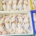 广东清远鸡鸡肉活鸡场地直发一手货源高端货品。