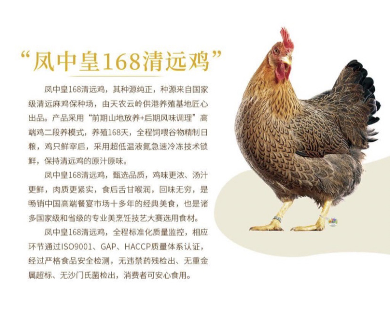广东清远鸡鸡肉活鸡场地直发一手货源高端货品。