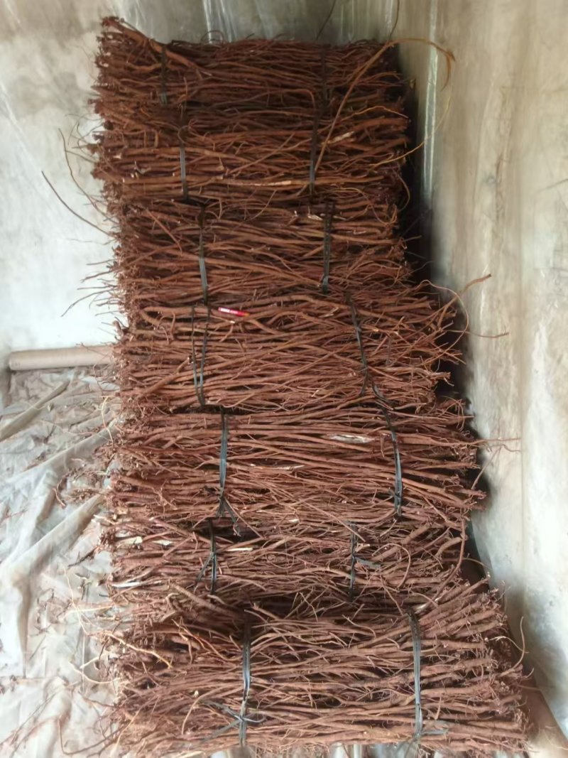 桂林红皮千斤拔，鲜货干货，货源充足，一条根，产地直发
