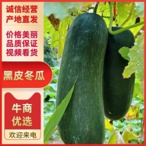 黑皮冬瓜量供应河北邯郸基地直发，量大从优，欢迎致电咨询